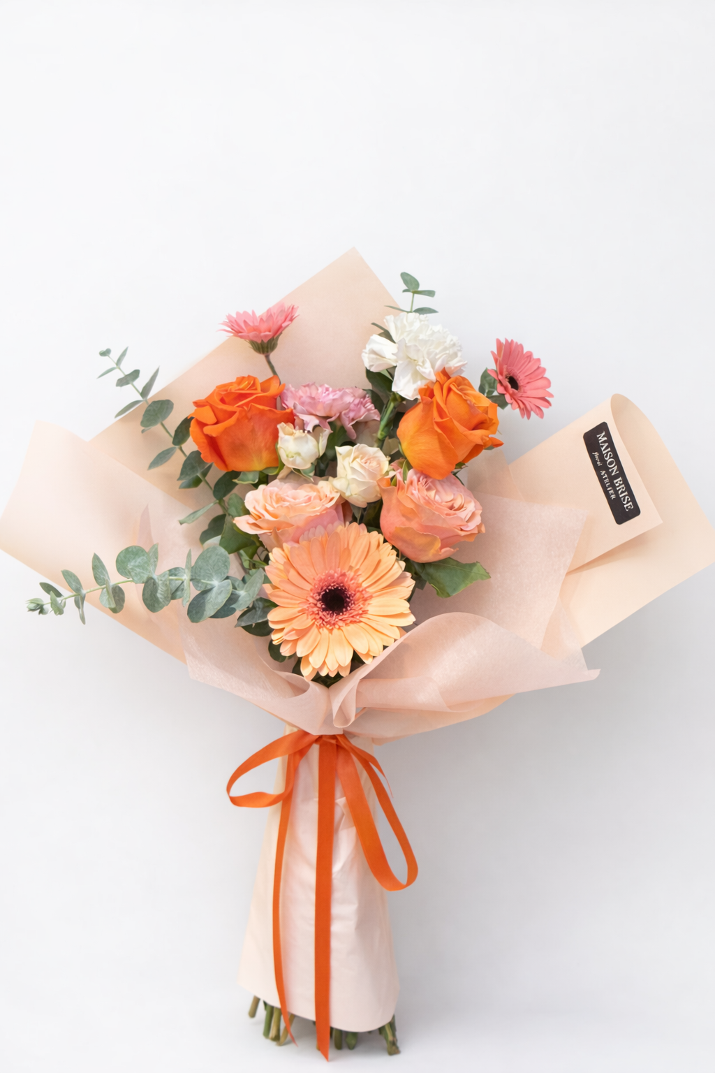 Soft Apricot